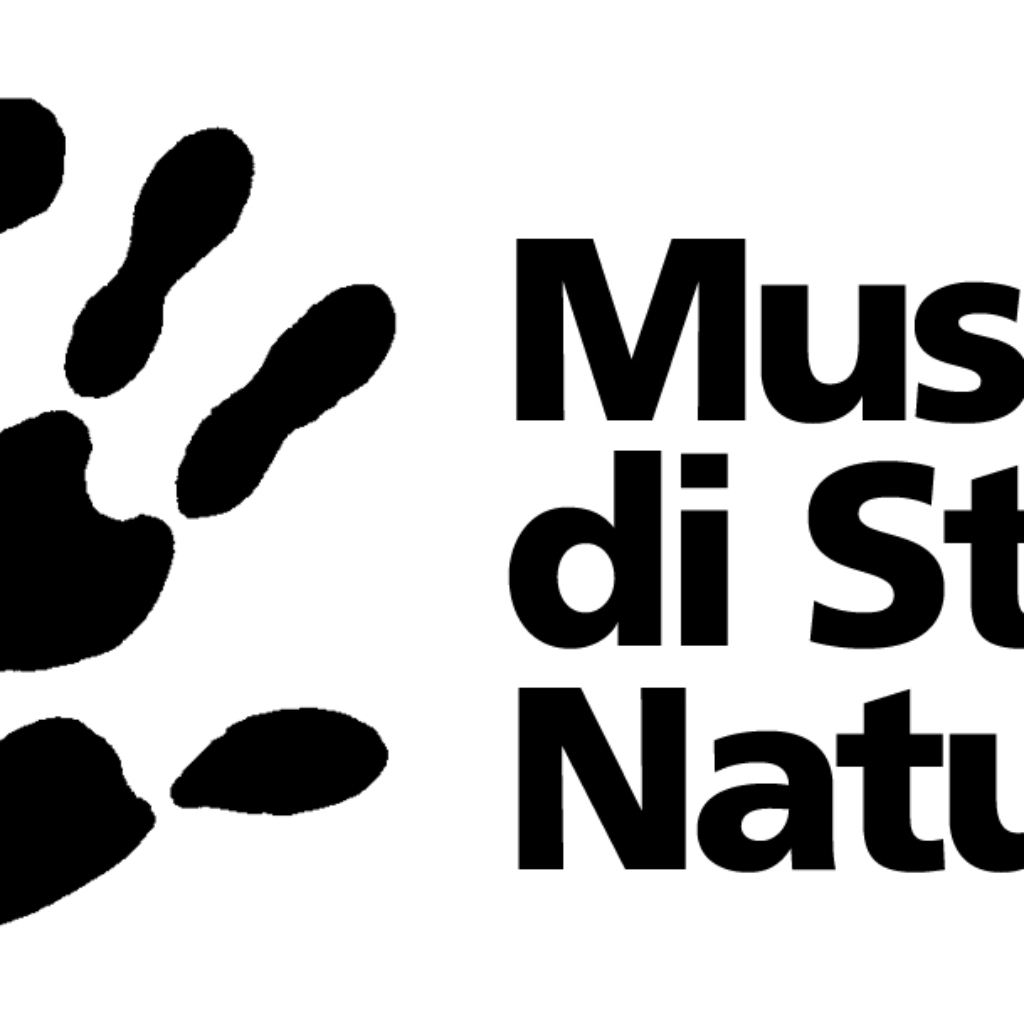 logo museo (1)