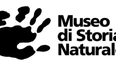 logo museo (1)