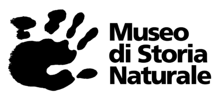 logo museo (1)