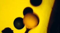 658e92357ddaf83a37526e47323880e7e339b4c0