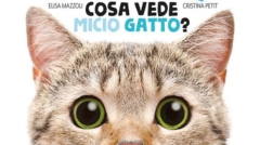 mazzoli 1,2,3,4 COSA VEDE MICIO GATTO