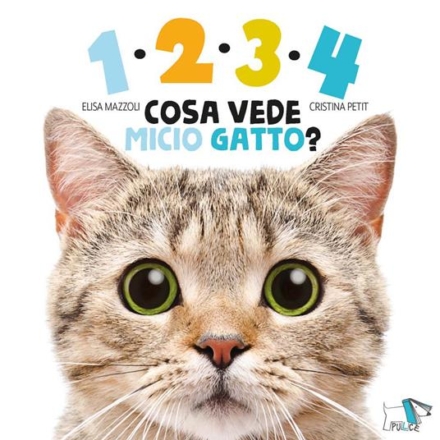 mazzoli 1,2,3,4 COSA VEDE MICIO GATTO