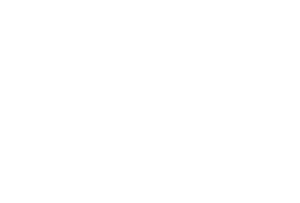 logo fondazione